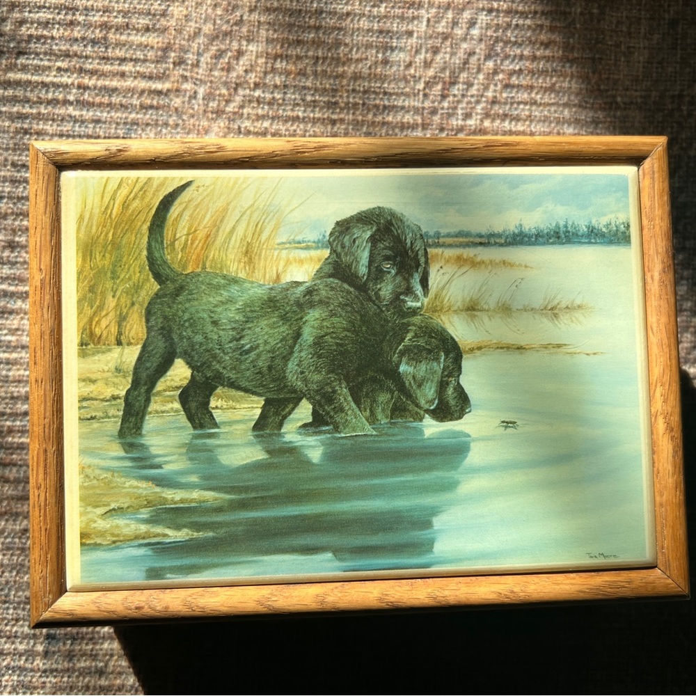 Art Deco Vintage Tara Moore Jewelry/ Trinket Box; Lab Pups & Water Bug"